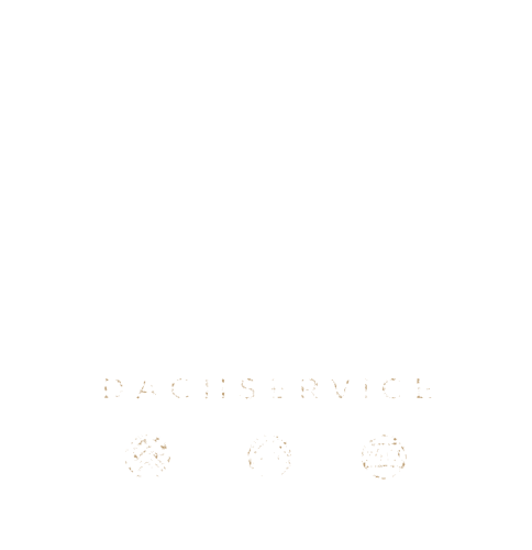 Burggräfler Dachservice